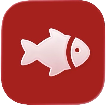 Catch Jersey App